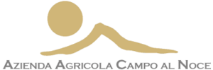 Campo Al Noce Logo