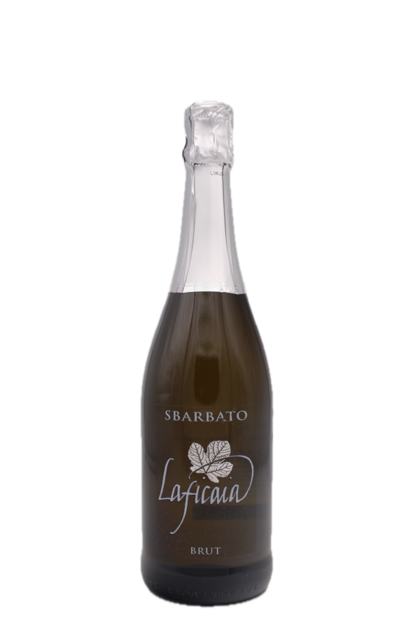 lafficaia sbarbato