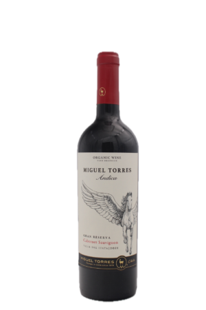 Miguel Torres - Andica Cabernet Sauvignon Gran Reserva
