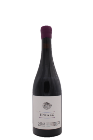 Bodegas Vina Elena - Bruma Finca CQ