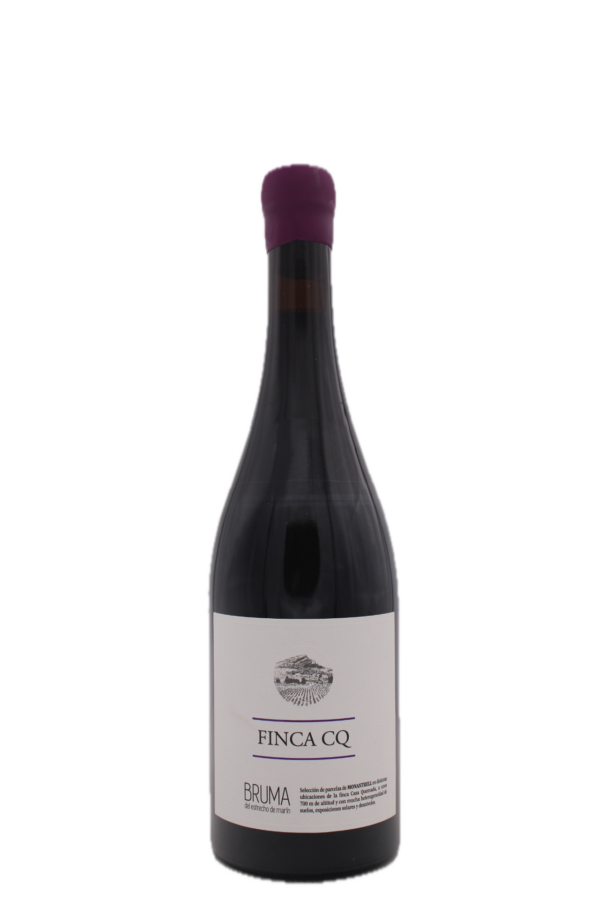Bodegas Vina Elena - Bruma Finca CQ