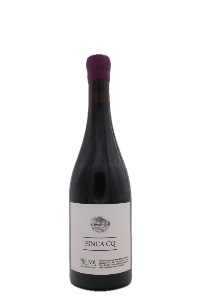 Bodegas Vina Elena - Bruma Finca CQ