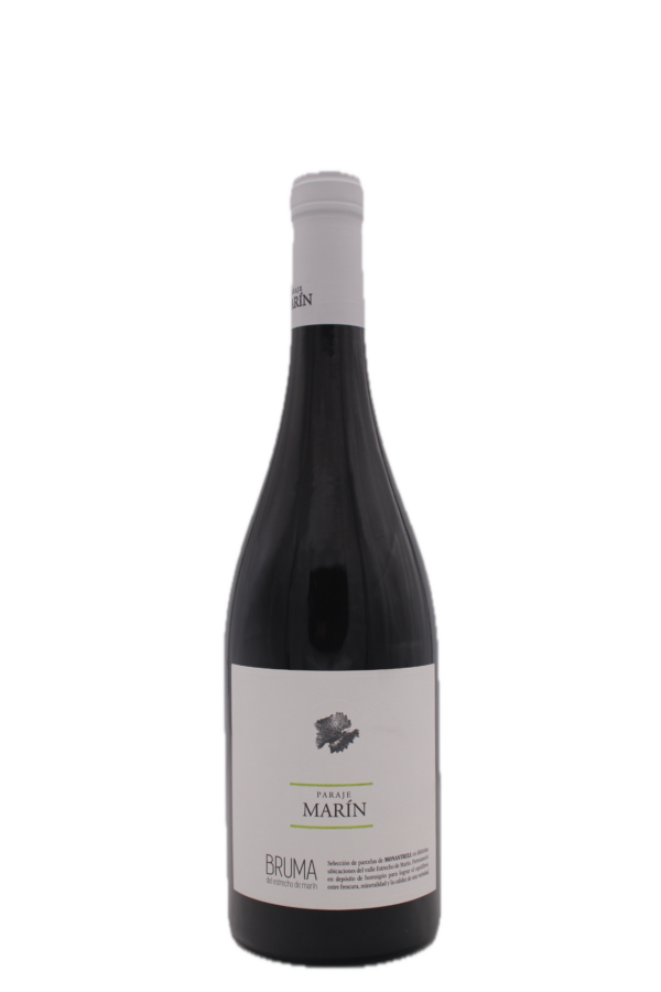 Bodegas Vina Elena - Bruma Praje Marin