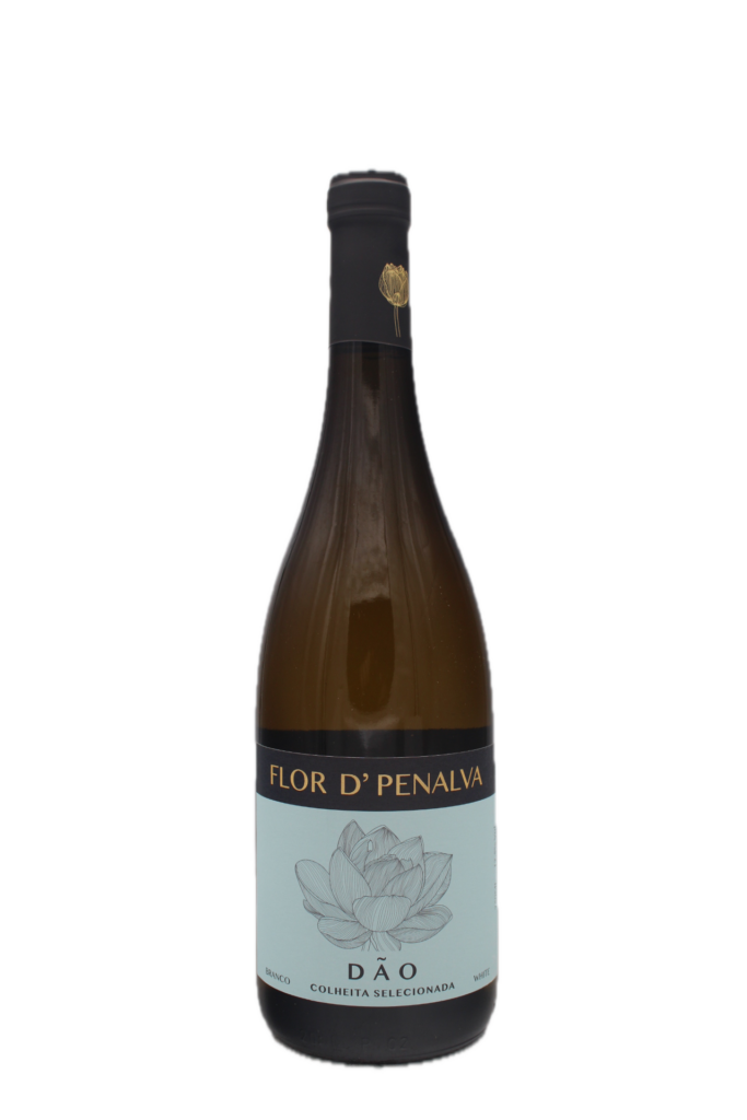 Flor de Penalva - Branco