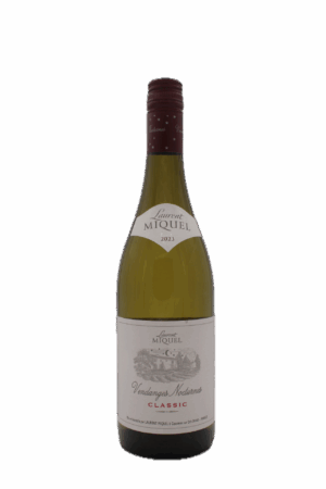 Laurent Miquel - Vendanges Nocturnes Blanc
