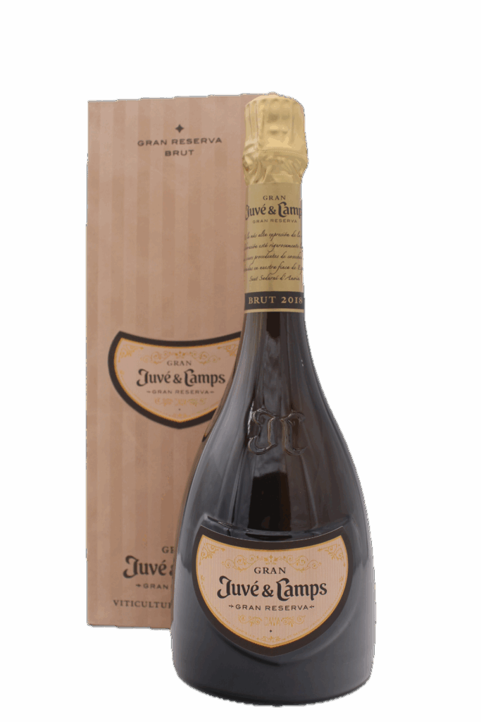 Juve & Camps - Gran Reserva 2018
