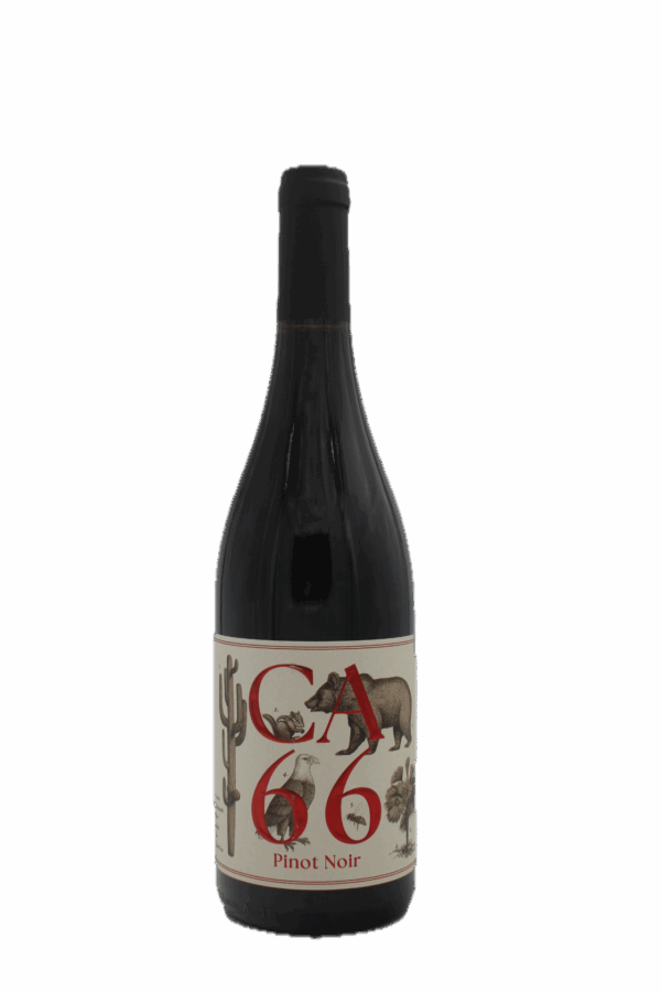 Weingut Hannes Sabathi - CA 66 Pinot Noir