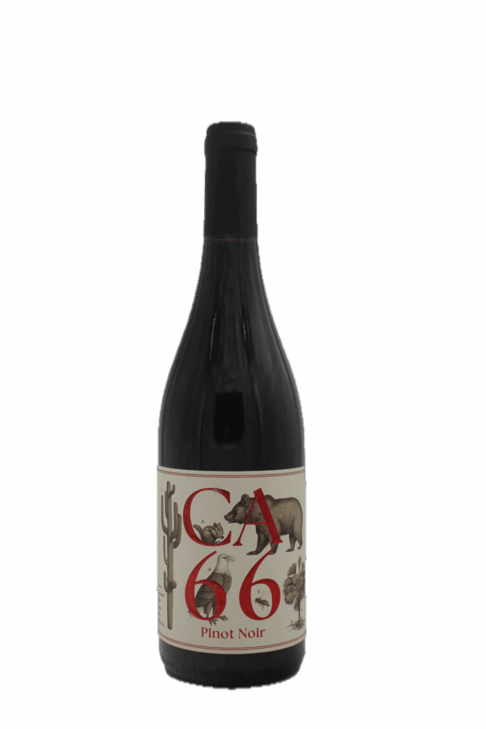 Weingut Hannes Sabathi - CA 66 Pinot Noir