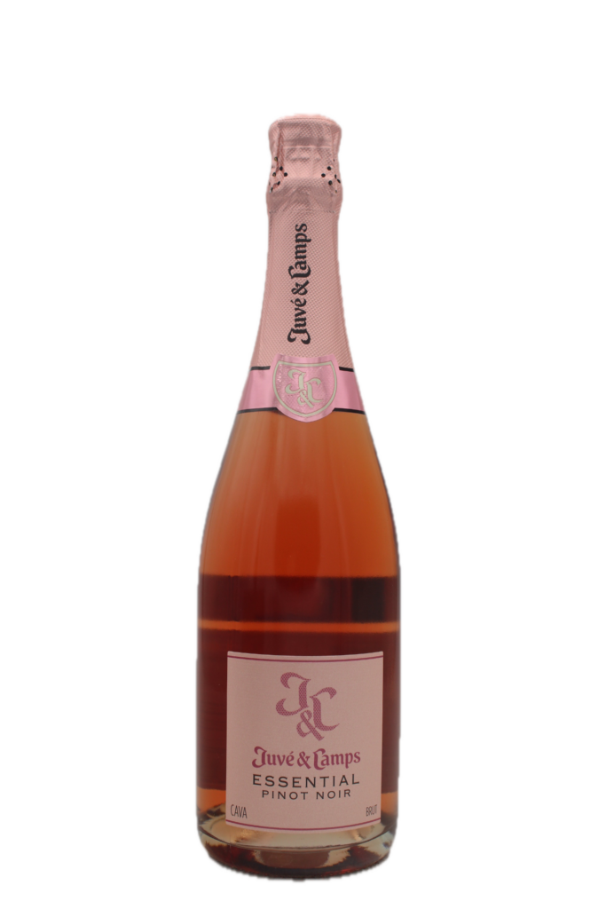 Juve & Camps - Essential Pinot Noir Reserva Cava