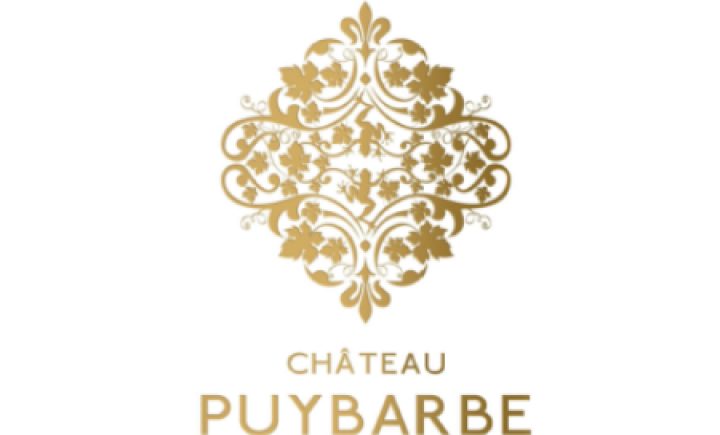 chateau puybarbe