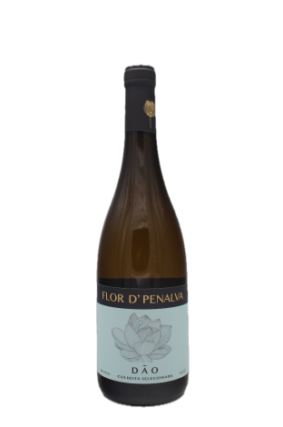 Flor de Penalva - Branco