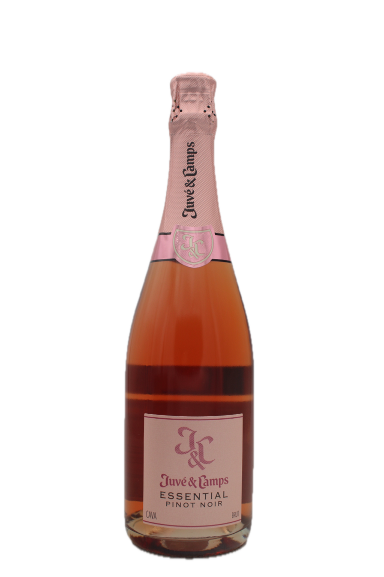 Juve & Camps - Essential Pinot Noir Reserva Cava
