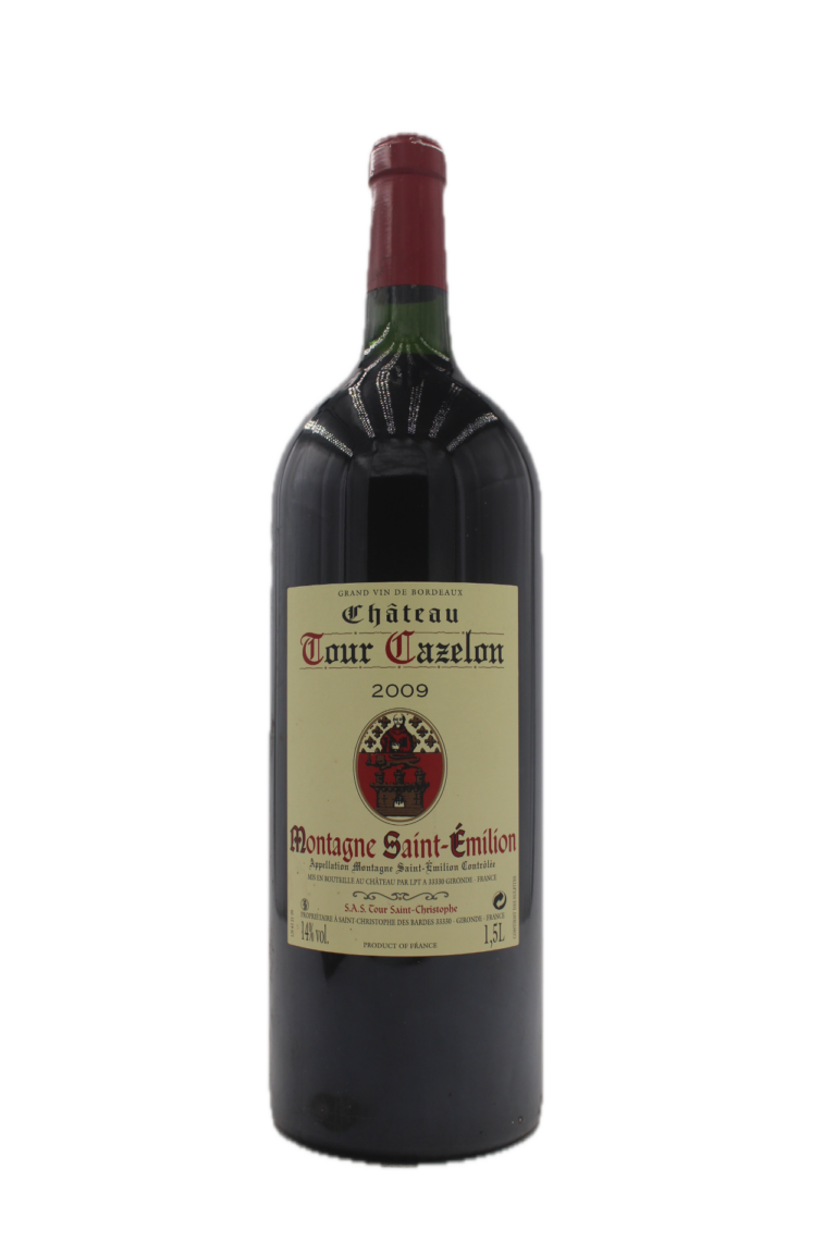 Château Tour Tazelon - Montagne-Saint-Emilion 2009 Magnum (1,5L)