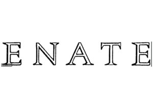 Enate Logo