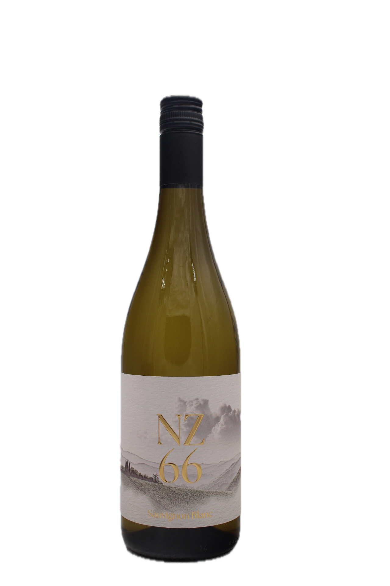Weingut Hannes Sabathi - NZ 66 Sauvignon Blanc